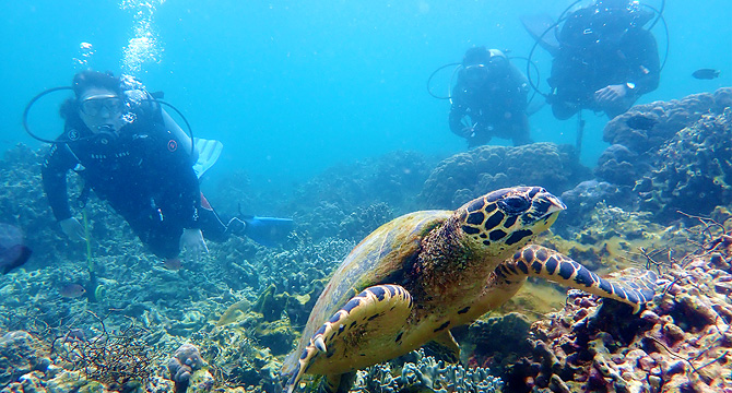 フィリピン 海外ボランティア活動